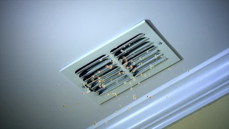 Best Ductwork Cleaning Services  in Walworth, WI