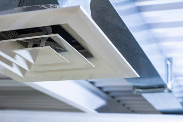 Best Affordable Duct Cleaning Services  in Walworth, WI