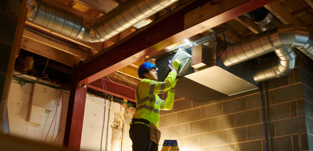 Air Duct Mold Removal in Walworth, WI