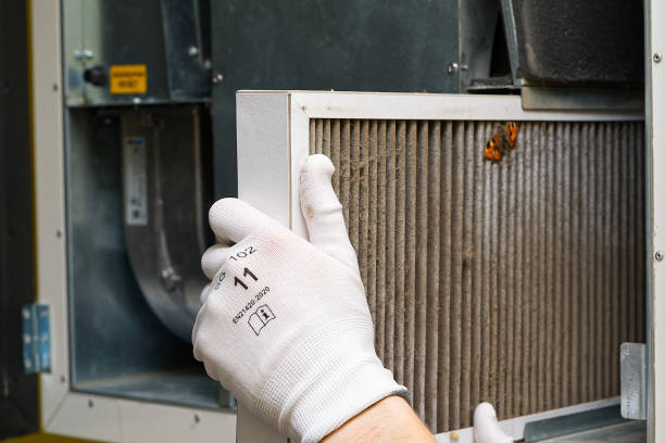 Best Local Air Duct Cleaning Services  in Walworth, WI